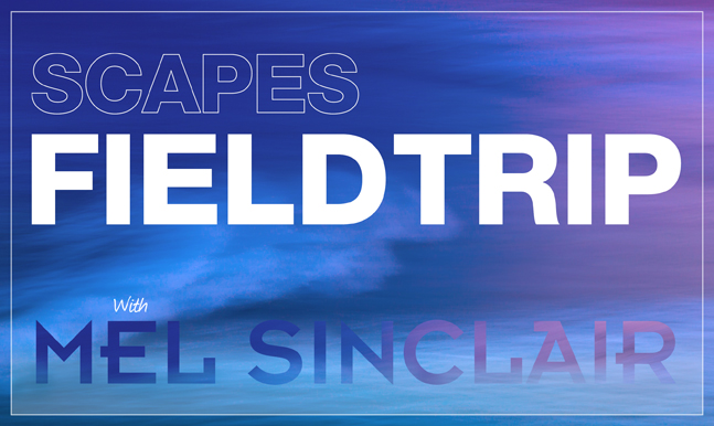 Mel Sinclair Scapes Field Trip